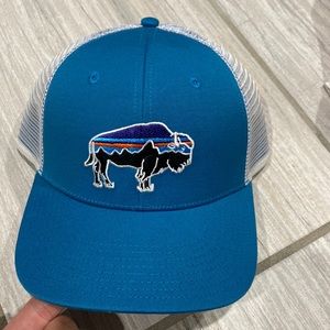 Patagonia Fitz Roy Bison Layback Trucker Hat